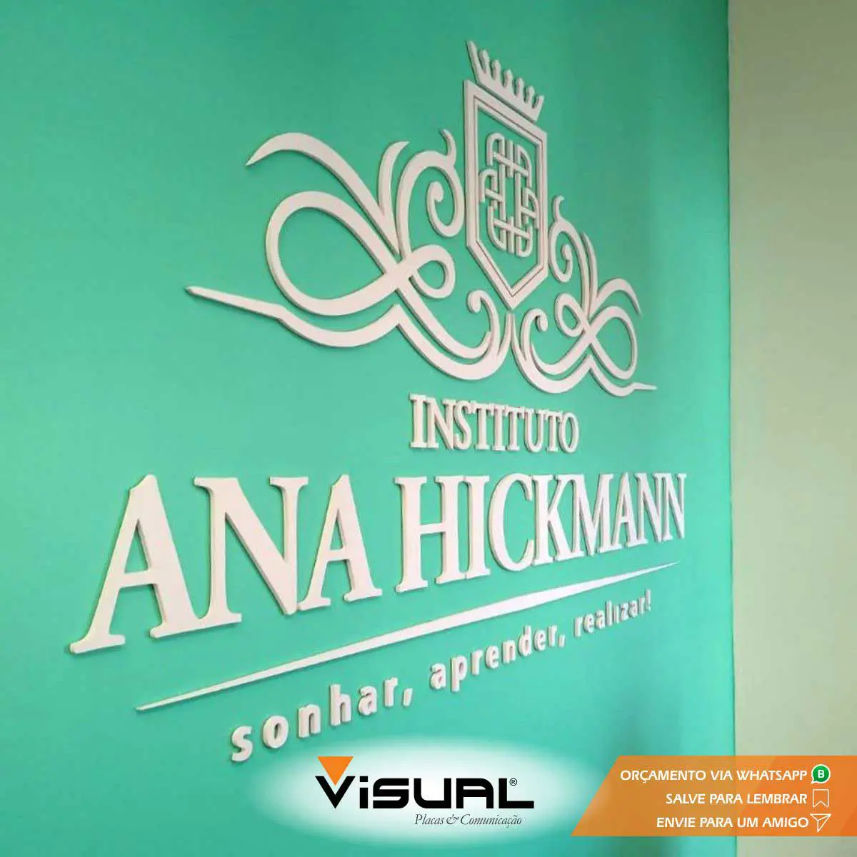 Projetos Realizado no Instituto Ana Hickmann